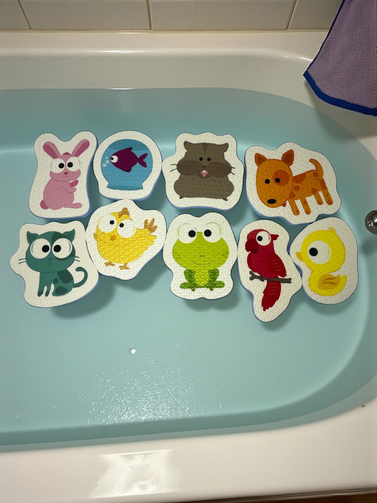 Pet Animals Foam Bath Toy Set – 9 Pieces